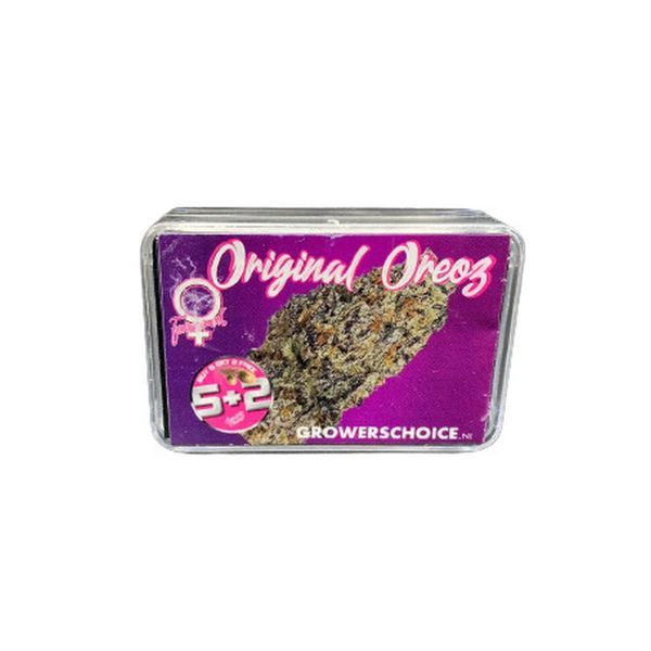 Original Oz (Growers Choice) feminisiert