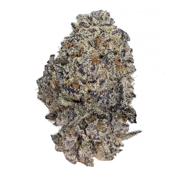Original Oreoz Feminisiert (Growers Choice)