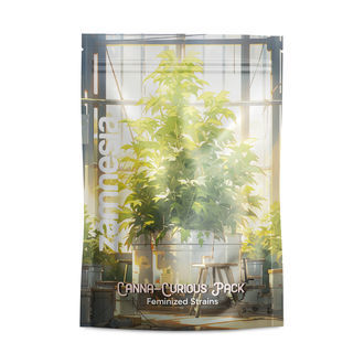 Canna-Curious Pack - feminisierte Sorten Canna-Curious Pack - feminisierte Sorten