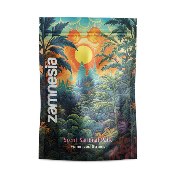 Scent-Sational Pack - feminisierte Sorten