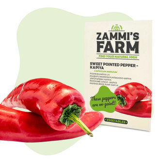 Gemüse-Samenpackung – Zammi's Farm