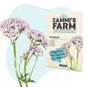 Wellness Samenpackung – Zammi's Farm