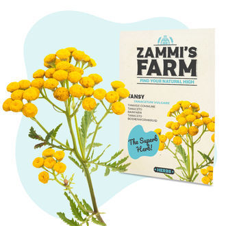 Wellness Samenpackung – Zammi's Farm