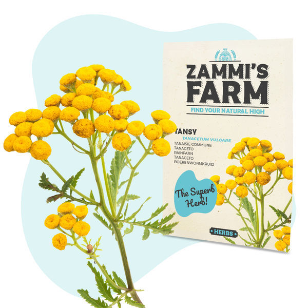 Wellness Samenpackung – Zammi's Farm