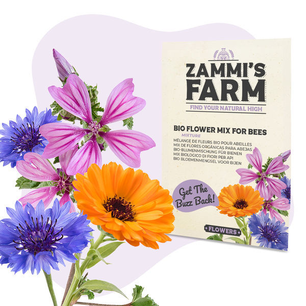 Blumen-Samenpackung – Zammi's Farm