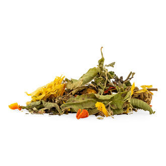 Teemischung Frisch & Fit Teemischung Frisch & Fit