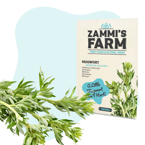 Teekräuter-Samenpackung – Zammi's Farm