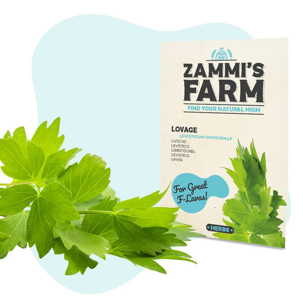 Küchenkräuter-Samenpackung – Zammi's Farm
