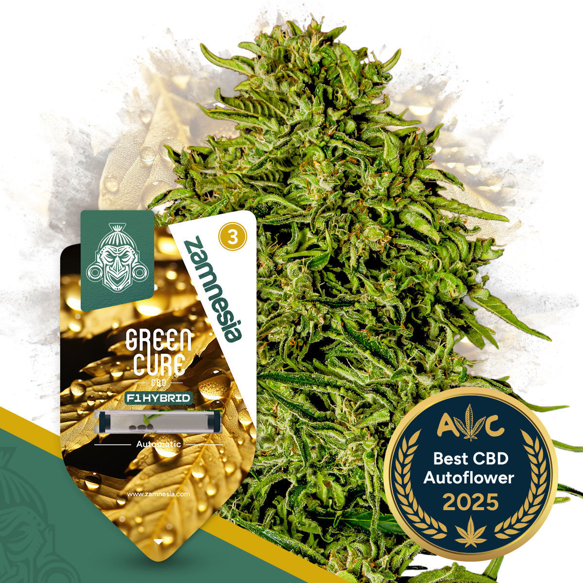 Green Cure CBD F1 Autoflowering (Zamnesia)