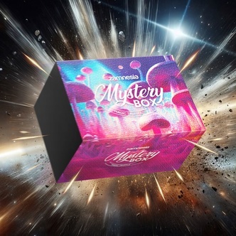 Magic Truffle Mystery Box (Zamnesia)