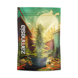 Saint Andreas Z-Lock Vorratsbeutel (Groß)