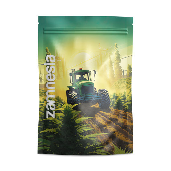 Saint Andreas Z-Lock Vorratsbeutel (Groß)