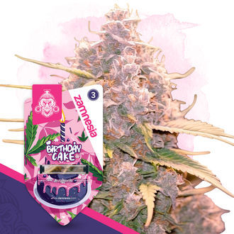 Birthday Cake Automatic (Zamnesia Seeds) feminisiert Birthday Cake Automatic (Zamnesia Seeds) feminisiert
