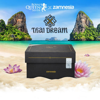Thai Dream (Royal Queen Seeds x Zamnesia) feminisiert