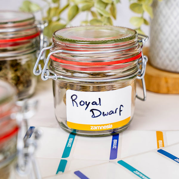 Klebeetiketten (Zamnesia) 50pcs