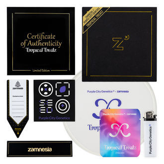 Tropical Treatz (Purple City Genetics x Zamnesia Seeds) feminisiert Tropical Treatz (Purple City Genetics x Zamnesia Seeds) feminisiert