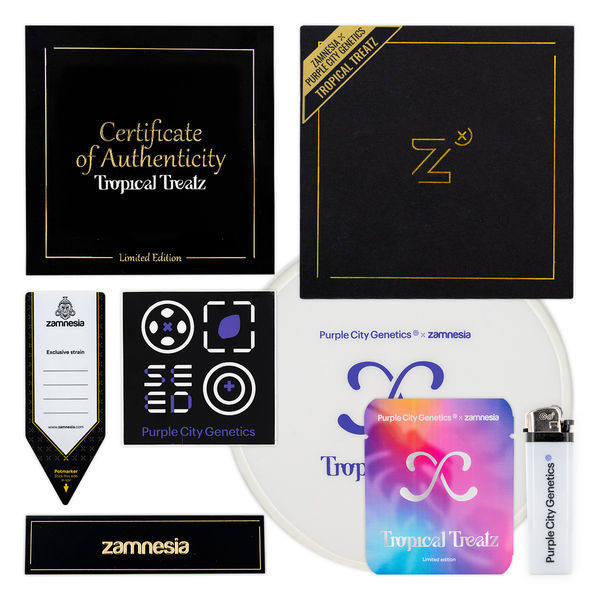Tropical Treatz (Purple City Genetics x Zamnesia Seeds) feminisiert