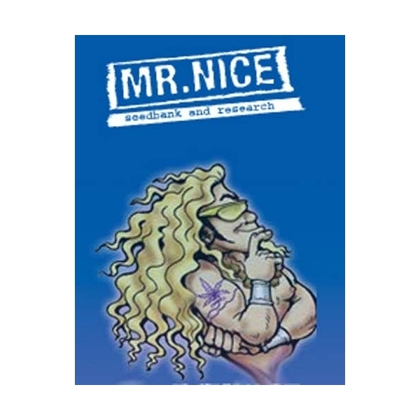 Ortega (Mr. Nice) regulär