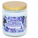 Kerze Blue Serenity (Smoke Odor Exterminator)