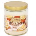 Kerze Cremige Vanille (Smoke Odor Exterminator)