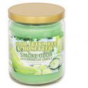 Kerze Cool Cucumber & Honeydew (Smoke Odor Exterminator)