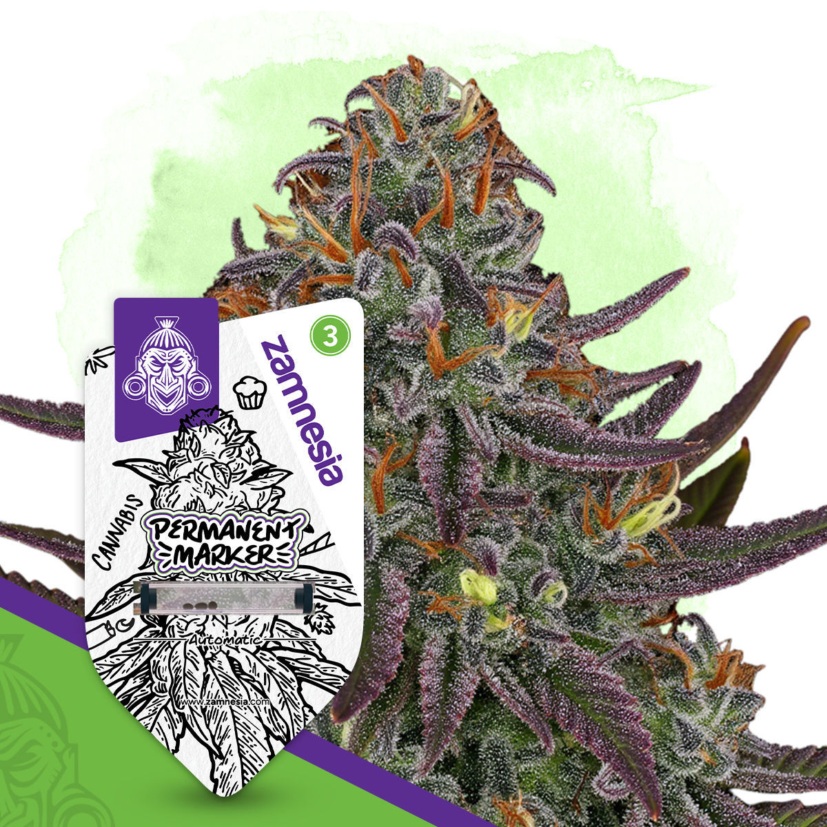 Budvoyage Permanent Marker Auto (Hans Brainfood)