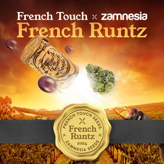 French Runtz (French Touch Seeds x Zamnesia Seeds) feminisiert