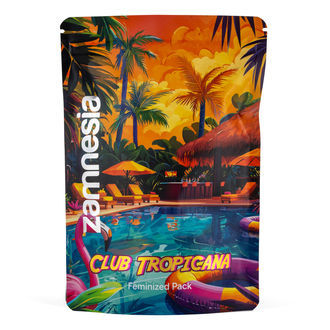 Club Tropicana Pack - feminisierte Sorten Club Tropicana Pack - feminisierte Sorten