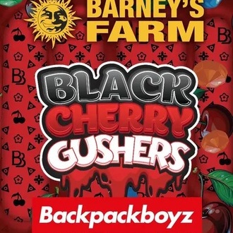 Black Cherry Gushers (Barney’s Farm x Backpackboyz) feminisiert