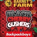 Black Cherry Gushers (Barney’s Farm x Backpackboyz) feminisiert