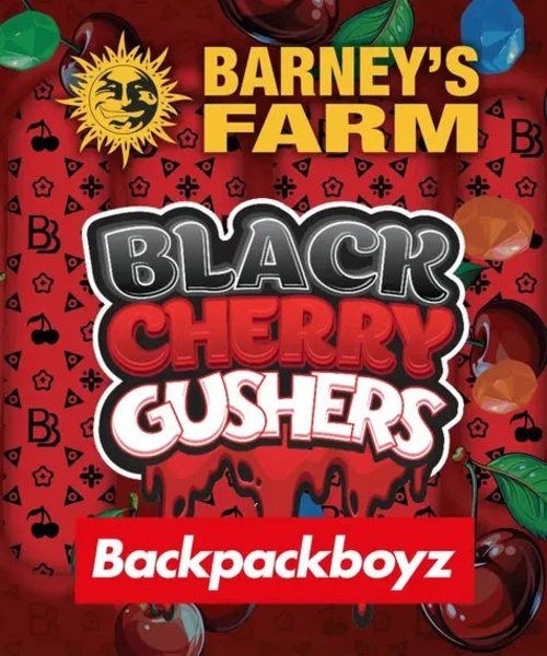 Black Cherry Gushers (Barney’s Farm x Backpackboyz) feminisiert