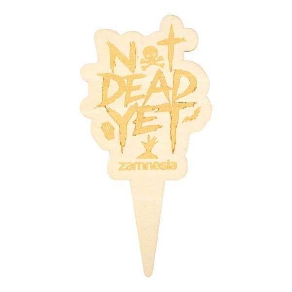 Pflanzschilder aus Holz (Zamnesia)