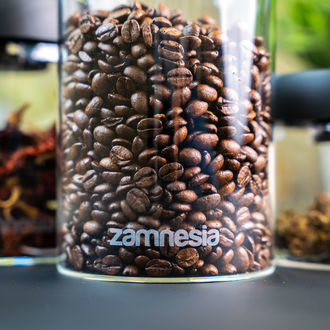 VacuFresh Glasbehälter (Zamnesia)