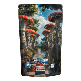 Zammi im Wunderland Z-Lock Vorratsbeutel (Extra Groß) 