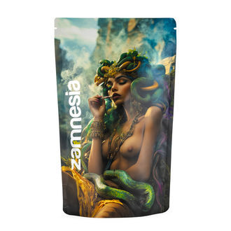 Medusa Z-Lock Vorratsbeutel (Extragroß)