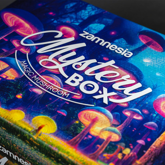Magic Mushroom Mystery Box (Zamnesia)