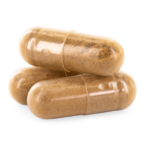 Löwenmähne Pilz-Kapseln (Zamnesia)