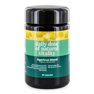 Agaricus blazei Pilzkapseln (Foodsporen) Agaricus blazei Pilzkapseln (Foodsporen)