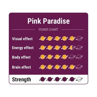 Pink Paradise Zaubertrüffel