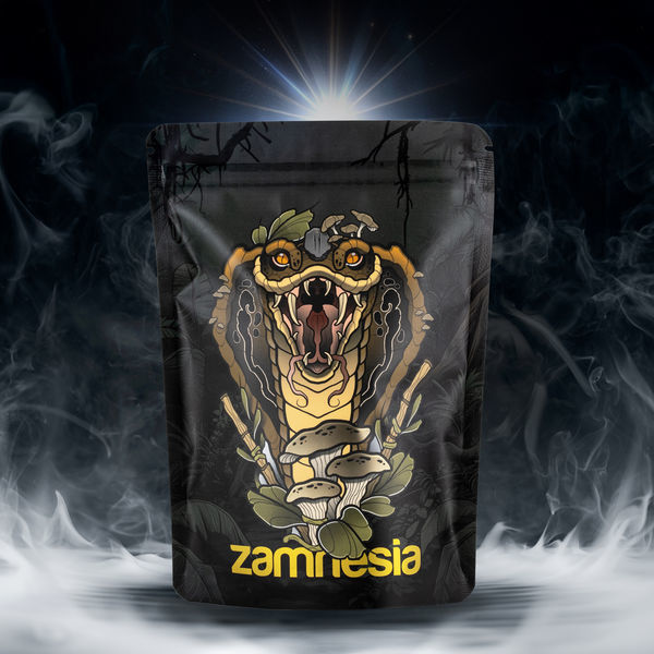 TRIBE Treasure Pack „Rising Cobra“