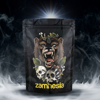 TRIBE Treasure Pack &bdquo;Roaring Bear&ldquo;