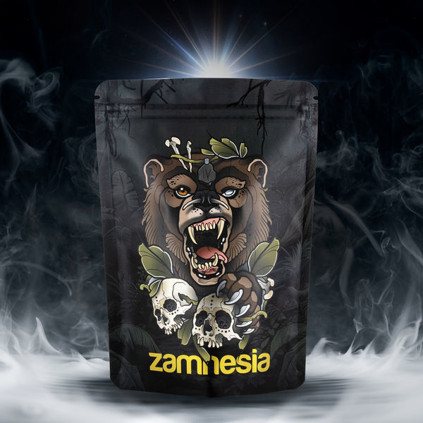 TRIBE Treasure Pack „Roaring Bear“