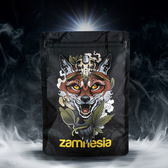 TRIBE Treasure Pack „Scouting Fox"