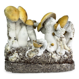 Zamnesia Ready-2-Grow Bag 'MVP'