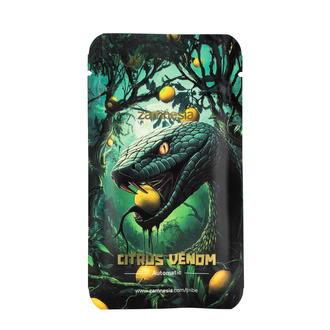 Citrus Venom Automatic (Zamnesia Seeds) feminisiert