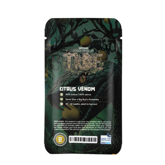 Citrus Venom Automatic (Zamnesia Seeds) feminisiert