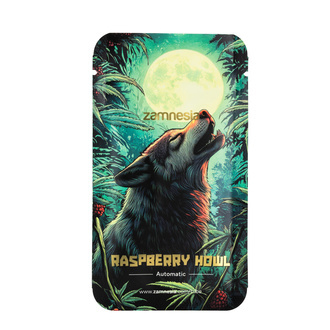 Raspberry Howl Automatic (Zamnesia Seeds) feminisiert