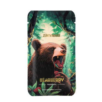 Bearberry Automatic (Zamnesia Seeds) feminisiert