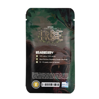 Bearberry Automatic (Zamnesia Seeds) feminisiert
