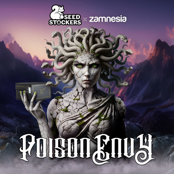 Poison Envy (Seedstockers x Zamnesia Seeds) feminisiert